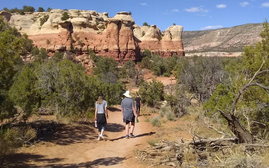 Hiking Sand Canyon